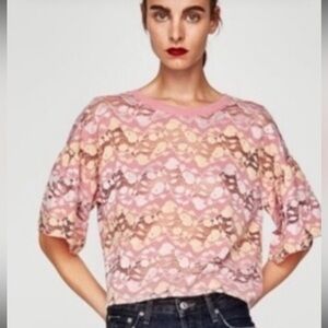 Zara pink‎ lace sheer crop top pastel color tee